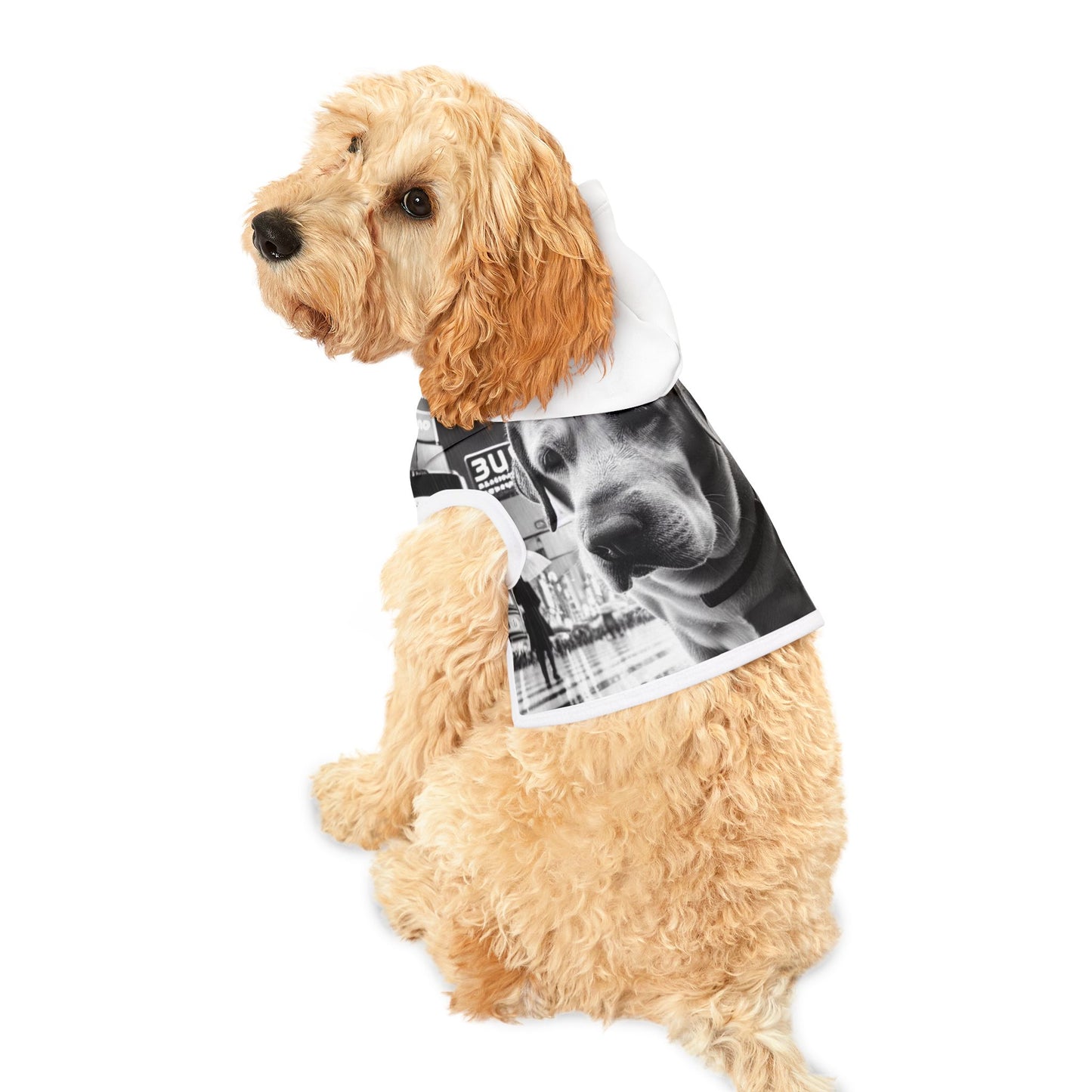 Sad Biggie Pet Hoodie