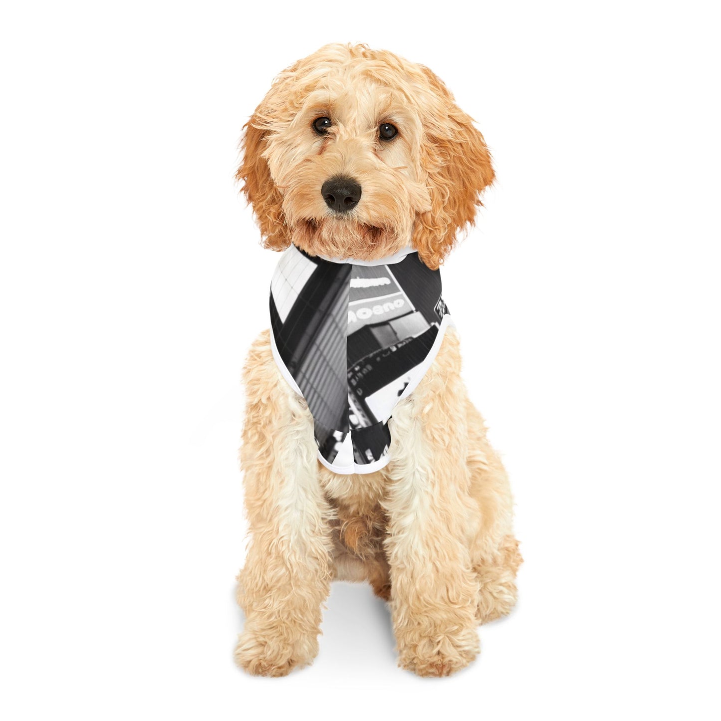 Sad Biggie Pet Hoodie