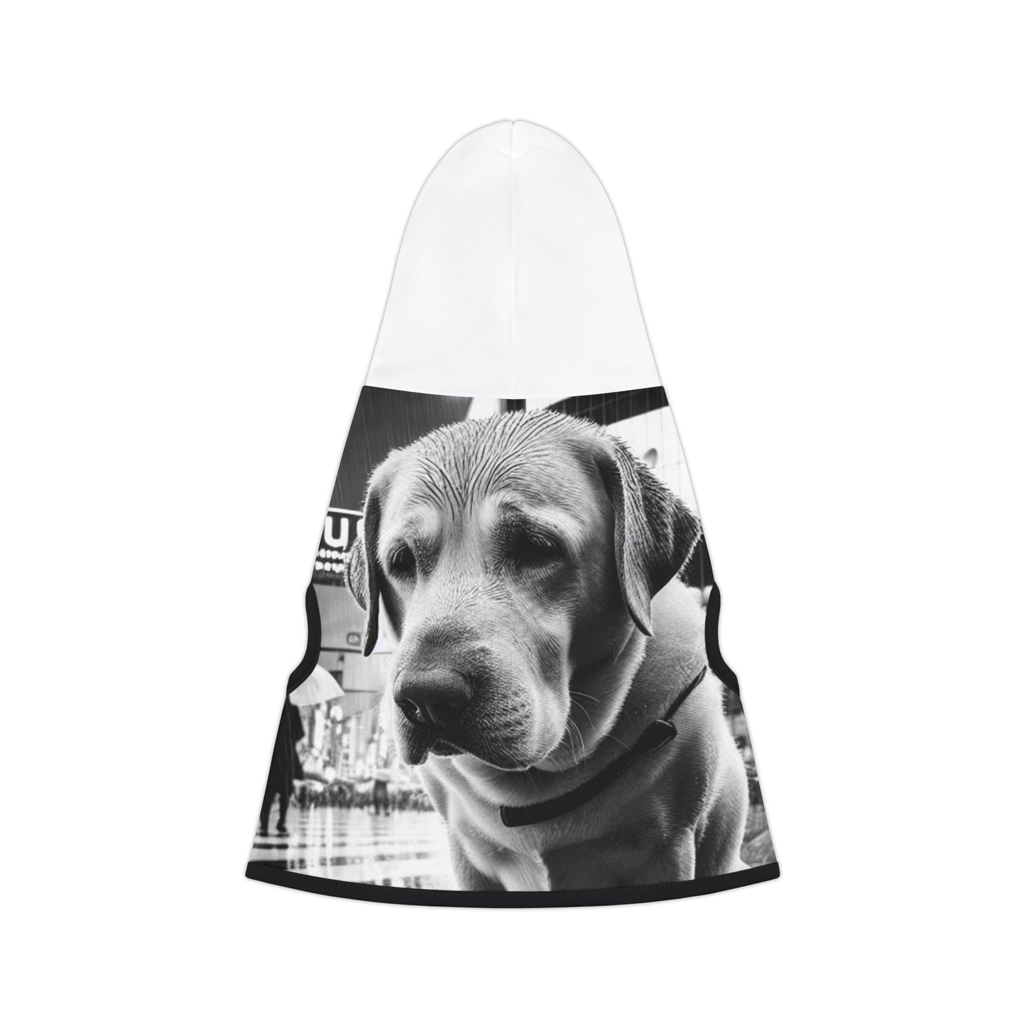 Sad Biggie Pet Hoodie