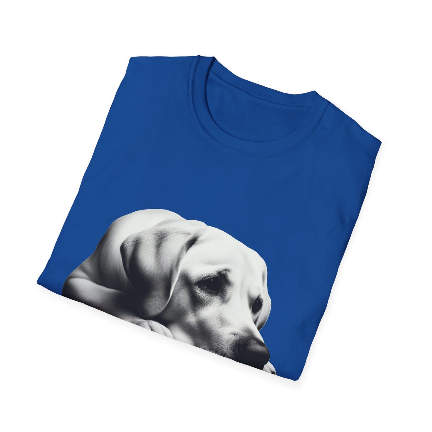Biggie Unisex Softstyle T-Shirt