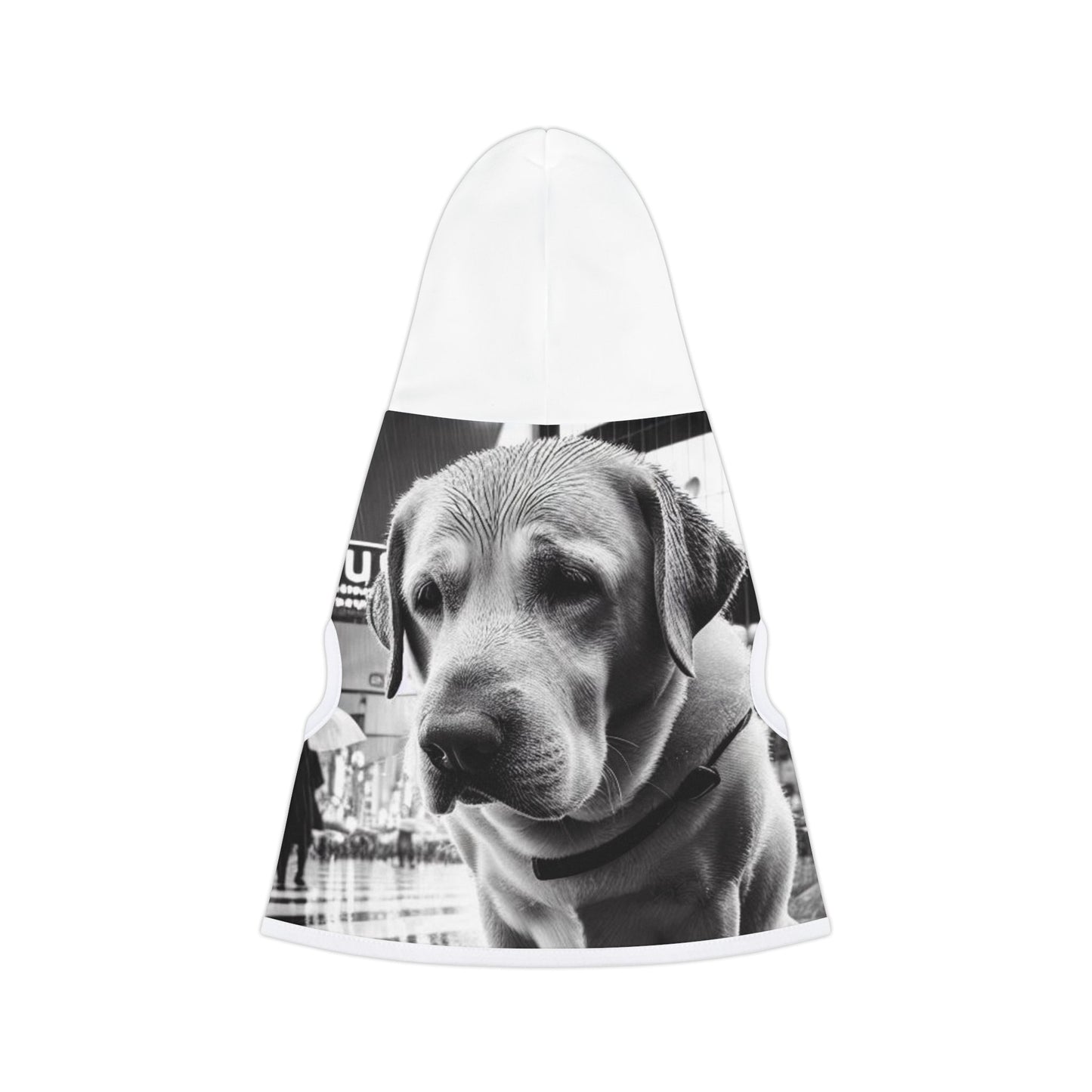 Sad Biggie Pet Hoodie