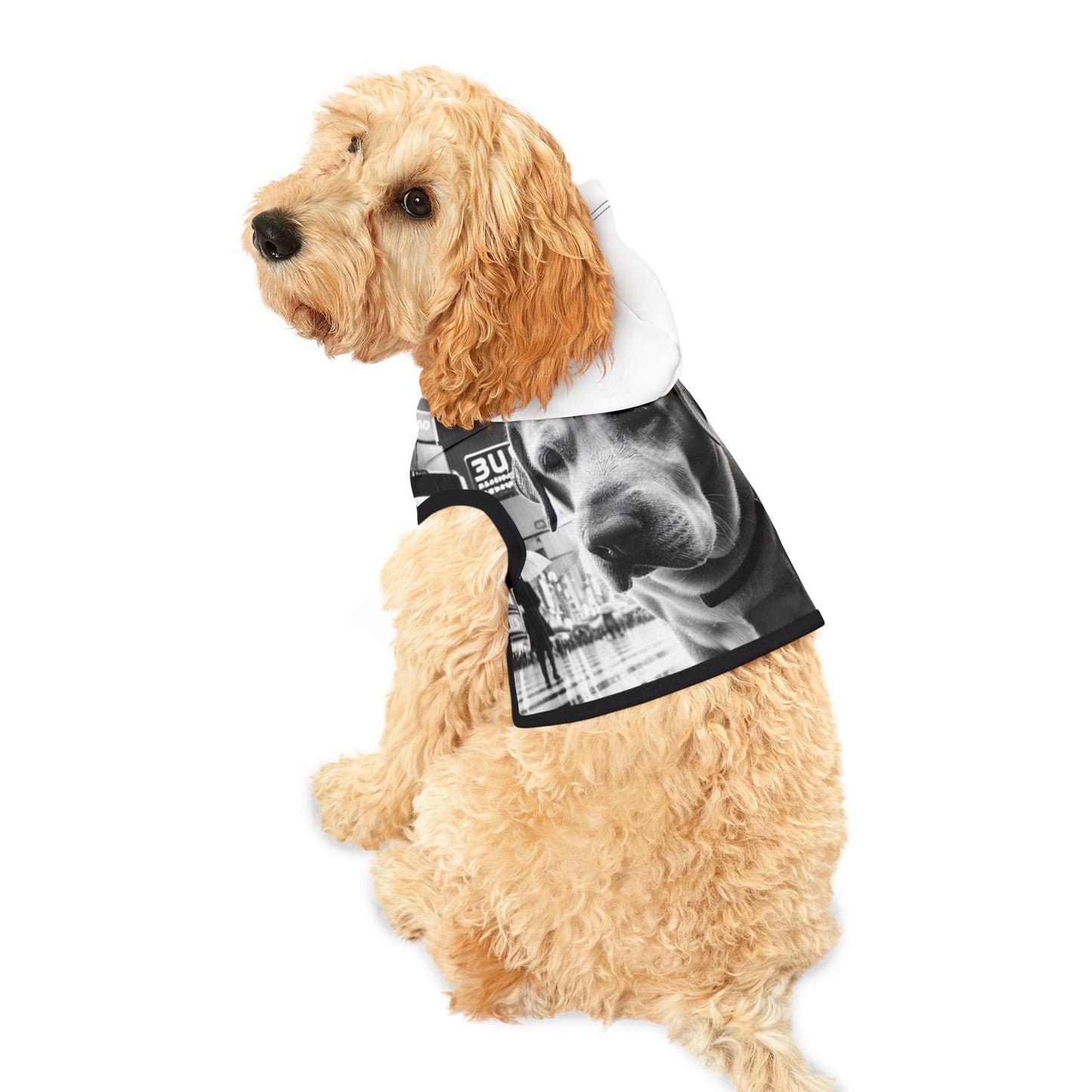 Sad Biggie Pet Hoodie